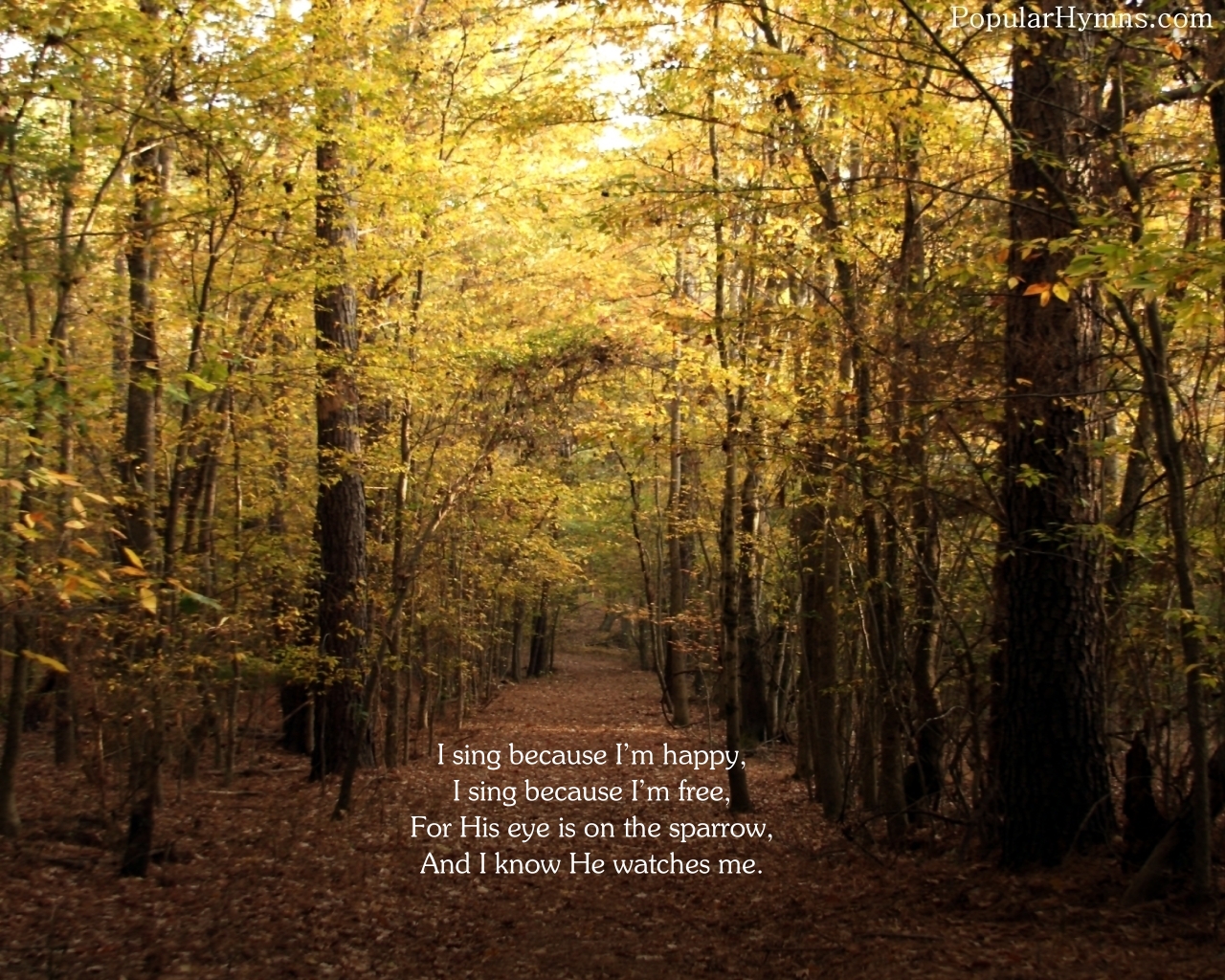 Image result for his eye is on the sparrow